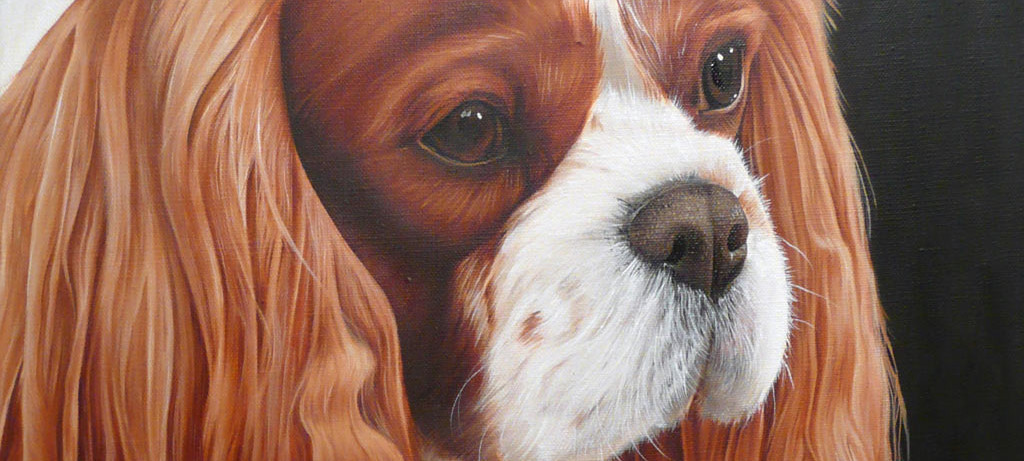 Chad Judy - Milo - Banner