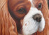Chad Judy - Milo - Banner