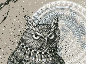 Well Owl Be Damned