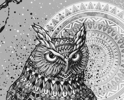 Well Owl Be Damned