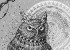 Well Owl Be Damned