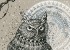 Well Owl Be Damned
