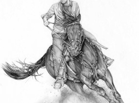 Horse For Barb