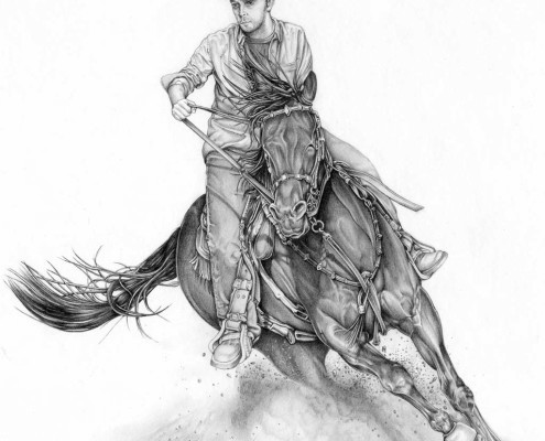 Horse For Barb