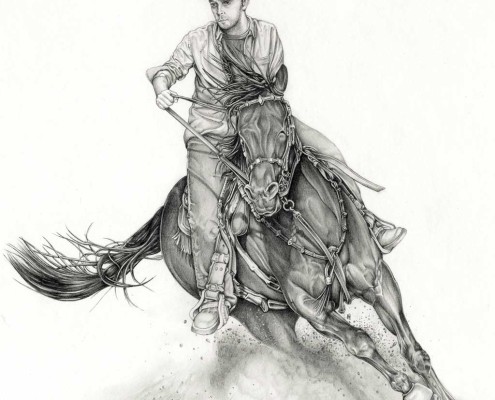 Horse For Barb