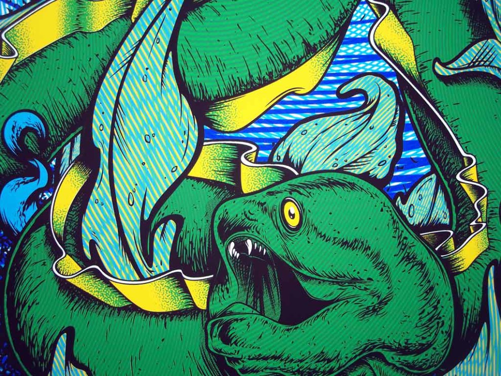 Moire Eel - Detail 1