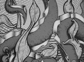 Moire Eel - Print