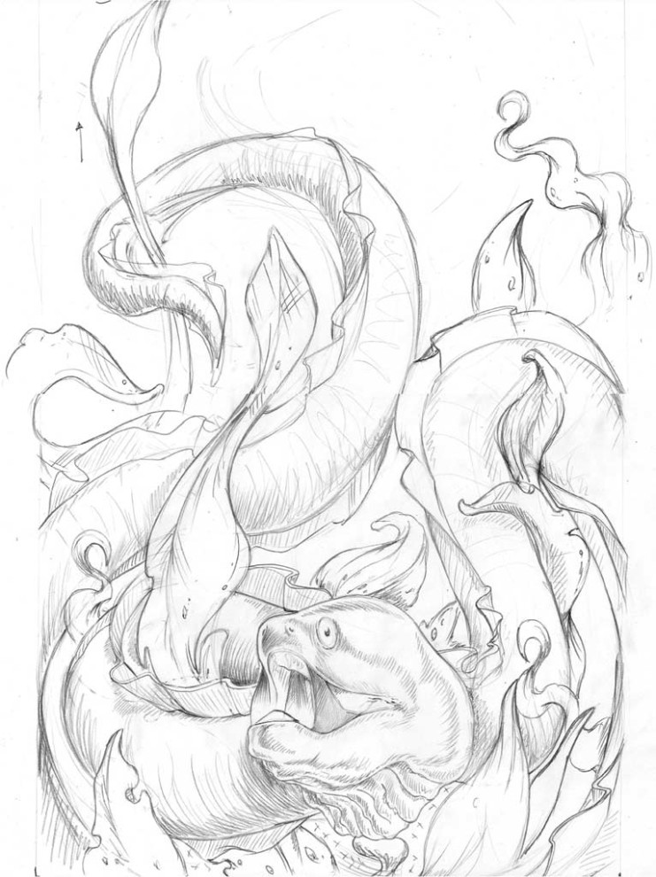 Moire Eel - Sketch
