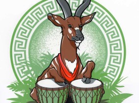 Bongos