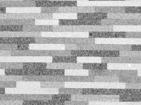 Lines - Color Study - Horizontal