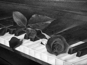 Piano Rose