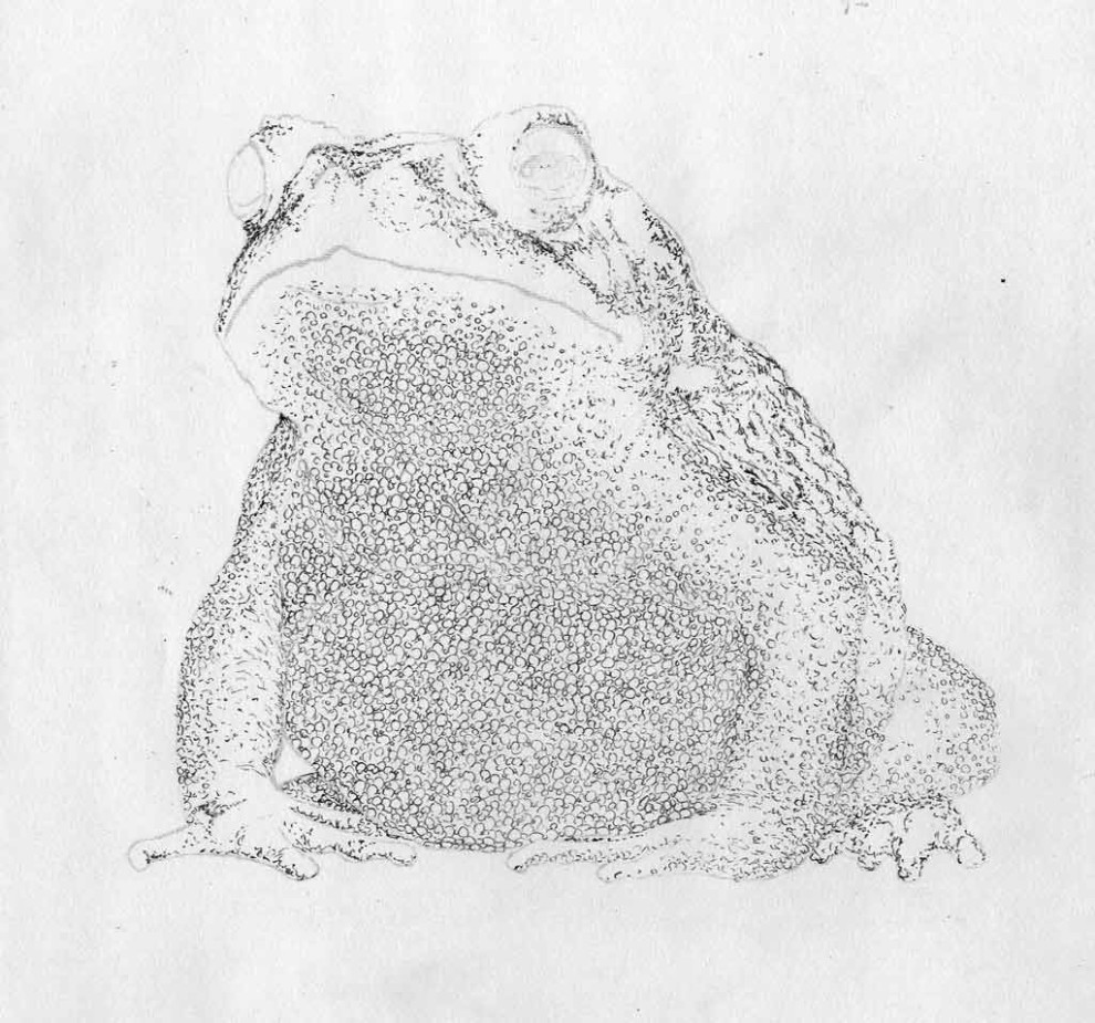 Princess Toadstool - Layer Sample