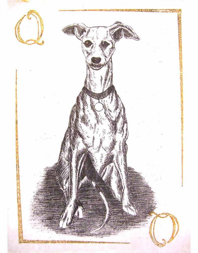 Hearts - Q - Mother Greyhound