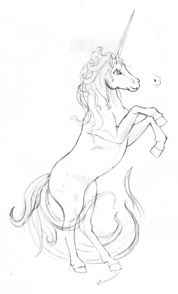 Dream Unicorn - Sketch