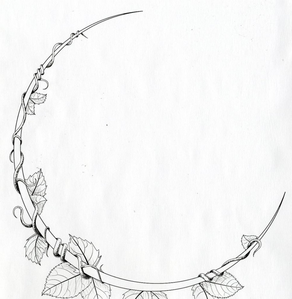 Well Owl Be Damned - Ring Sketch