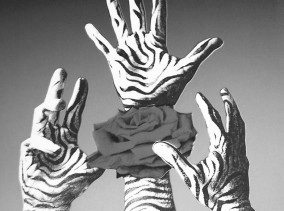 Zebrosia - Blue