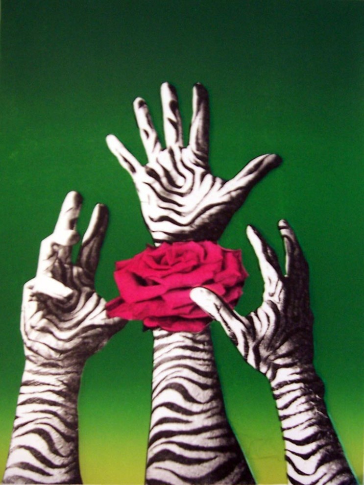 Zebrosia - Green