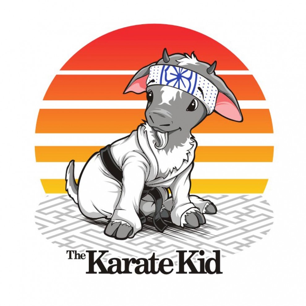 Karate Kid - Vector