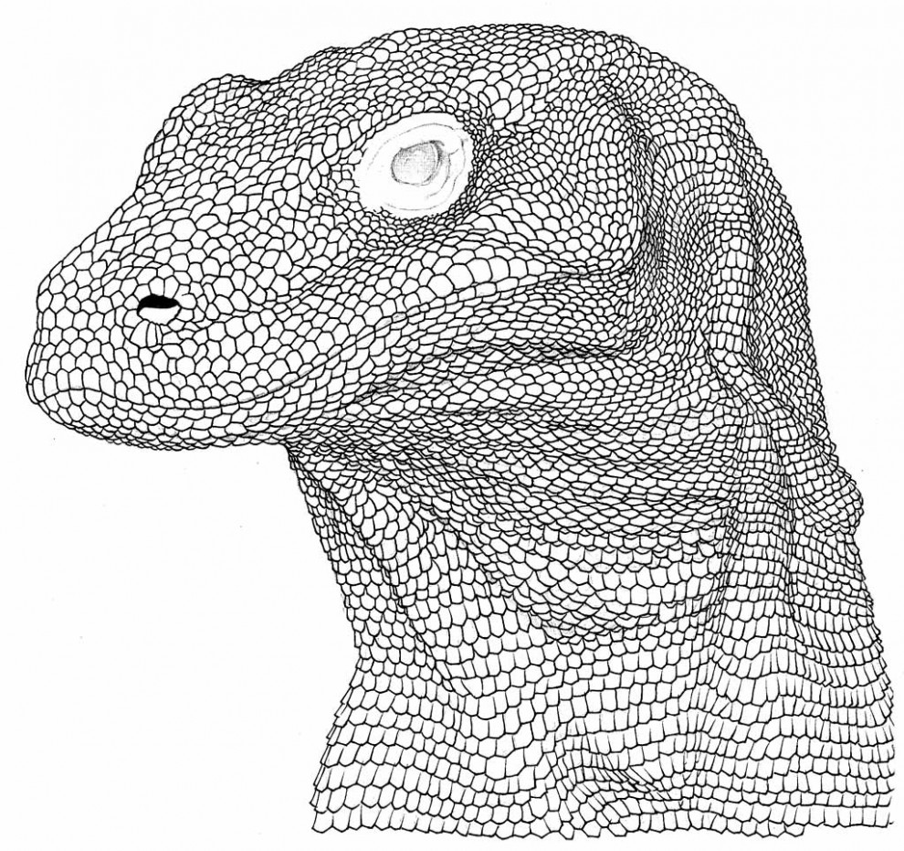 Kimono Dragon - Refined Scale Layer