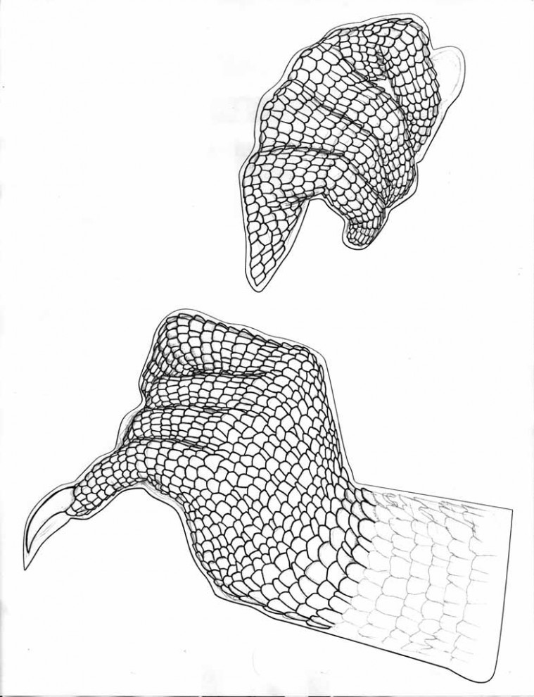Kimono Dragon - Hands - Scaled