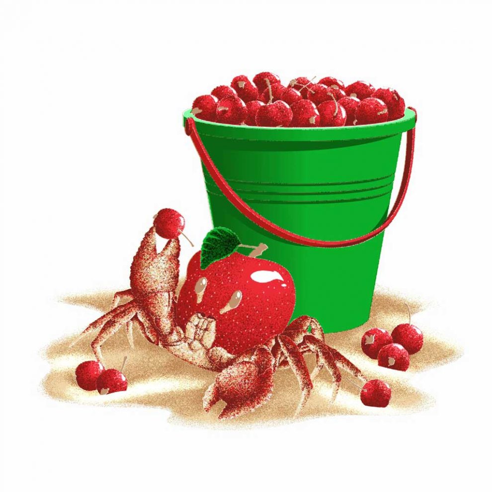 Crabapples - Layer 6
