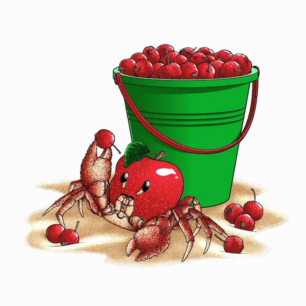 Crabapples - Layer 7