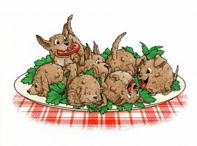 Hush Puppies