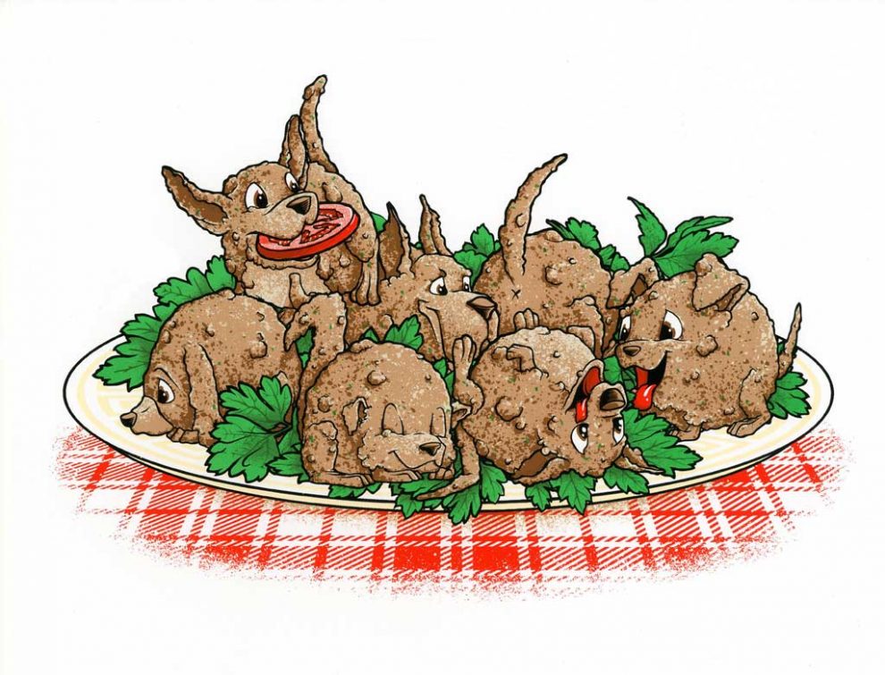 Hush Puppies