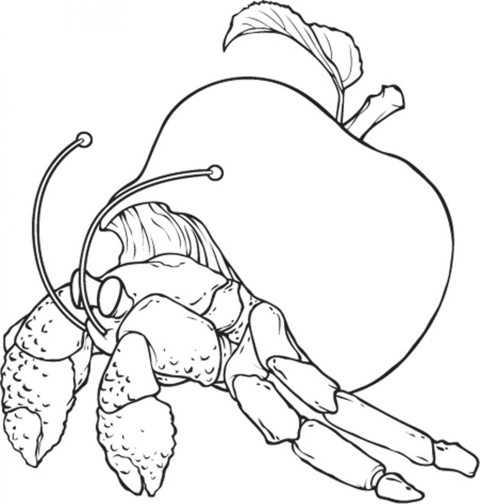 Crabapples - Rejected Crab 2