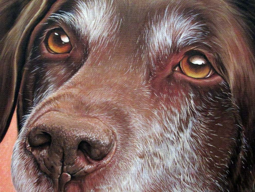 Detail Shot of Roxy