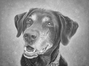 Roxy - Oil on Canvas