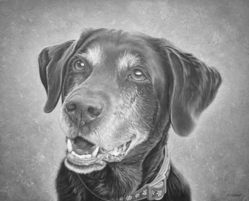 Roxy - Oil on Canvas