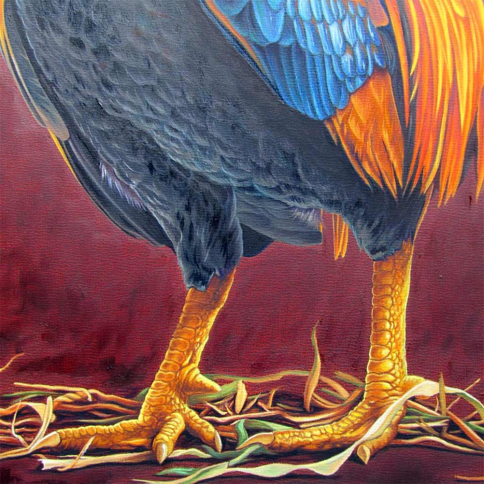 Rooster Lollipop - Detail 3