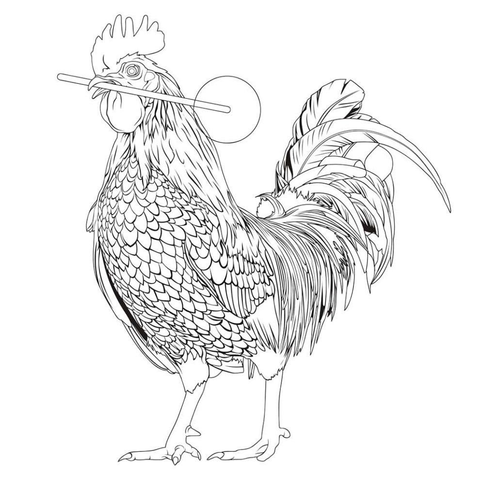 Rooster Lollipop - Line work